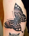 B/G Butterfly