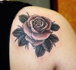 B/G Rose