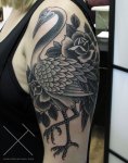 kurki1_img_2785