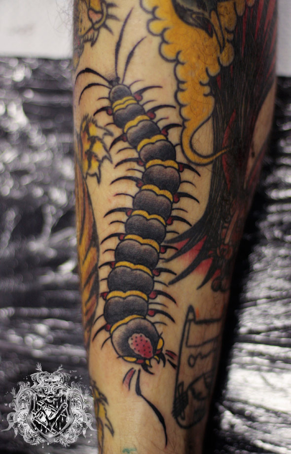 tuhatjalkanen_MG_6538