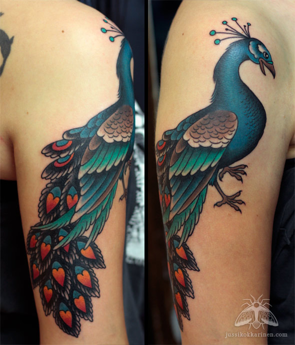 riikinkukko_yhd_MG_7911