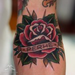 3_Ruusu_perhe_MG_8164