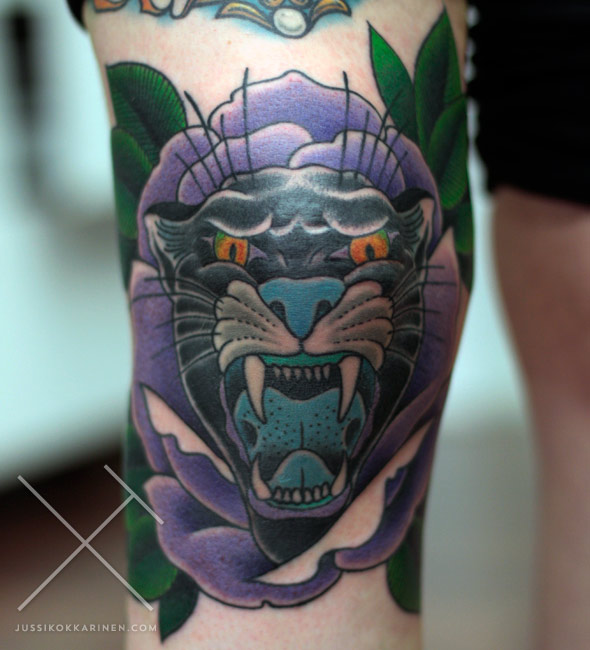 polviruusupantteri_MG_8640