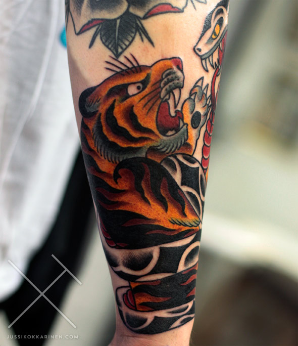 tiikerijakaarme2_MG_8999