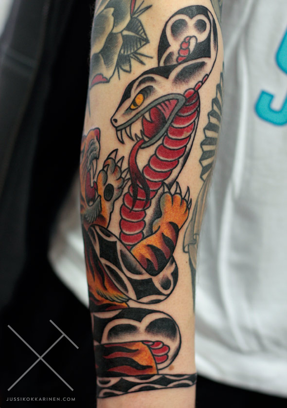 tiikerijakaarme2_MG_9005