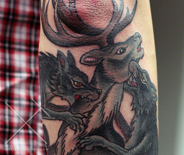 porojasudet1_mg_0384